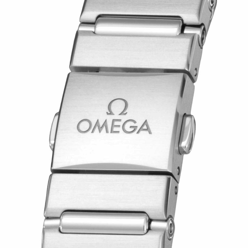 OMEGA 131.10.29.20.02.001