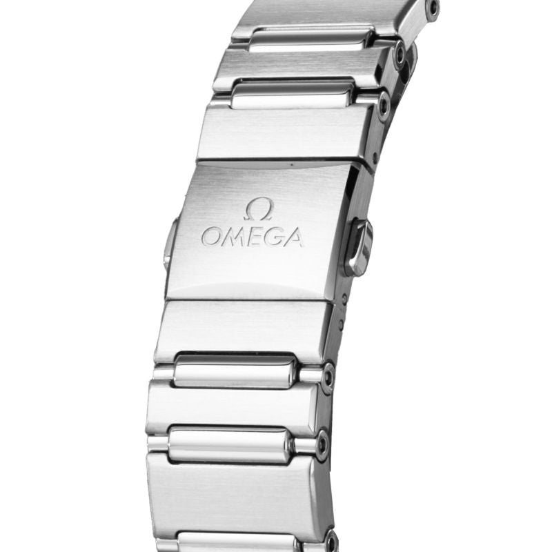 OMEGA 131.10.29.20.06.001