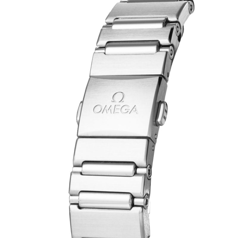 OMEGA 131.10.29.20.56.001