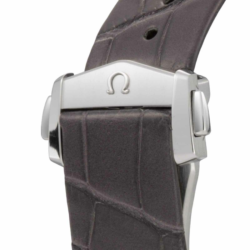 OMEGA 131.13.39.20.06.001