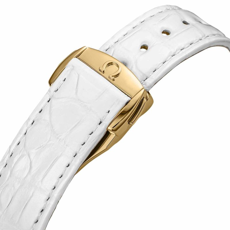 欧米茄 231.58.39.21.55.002