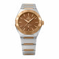OMEGA 131.20.36.20.13.001