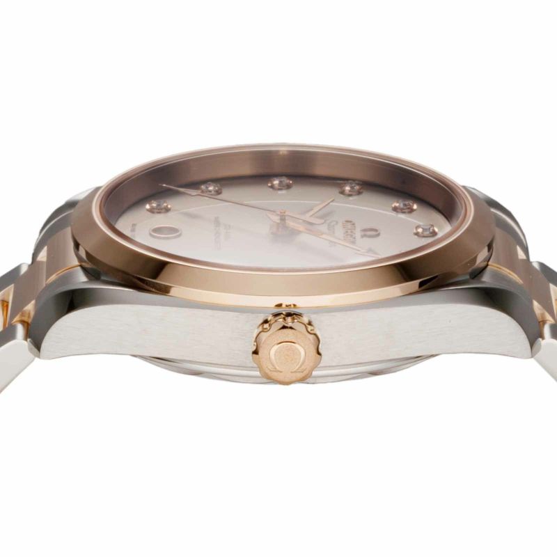OMEGA 220.20.38.20.56.002