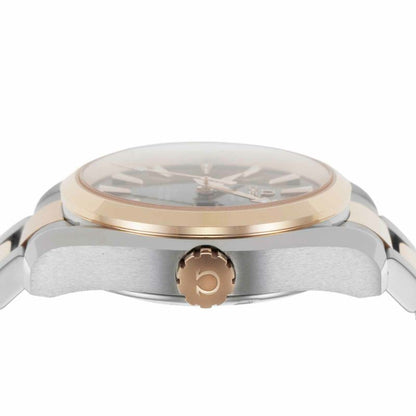OMEGA 231.20.39.22.06.001
