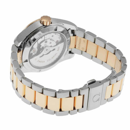 OMEGA 231.20.39.22.06.001
