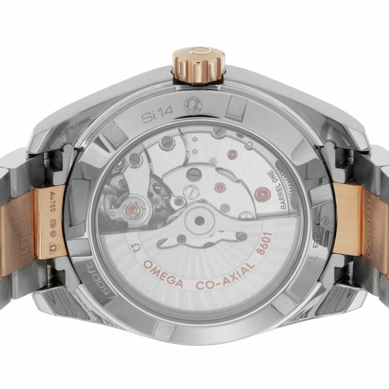 OMEGA 231.20.39.22.06.001