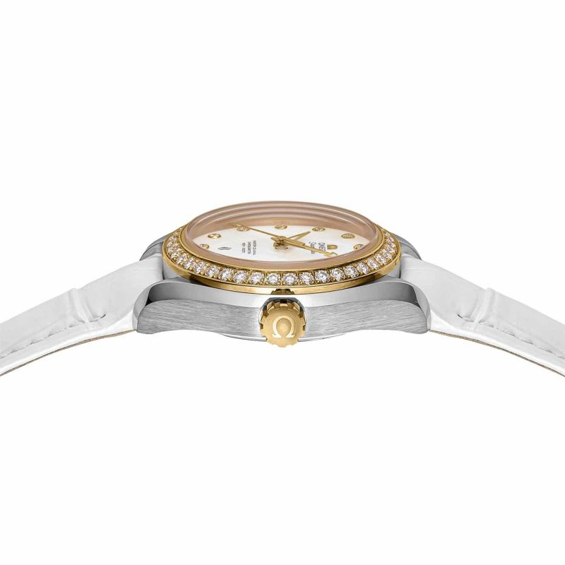 OMEGA 231.28.34.20.55.004
