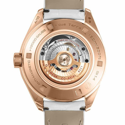 OMEGA 231.53.34.20.55.001