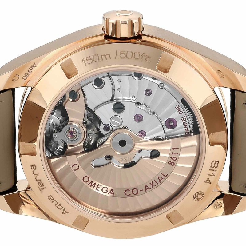 OMEGA 231.53.39.22.06.001