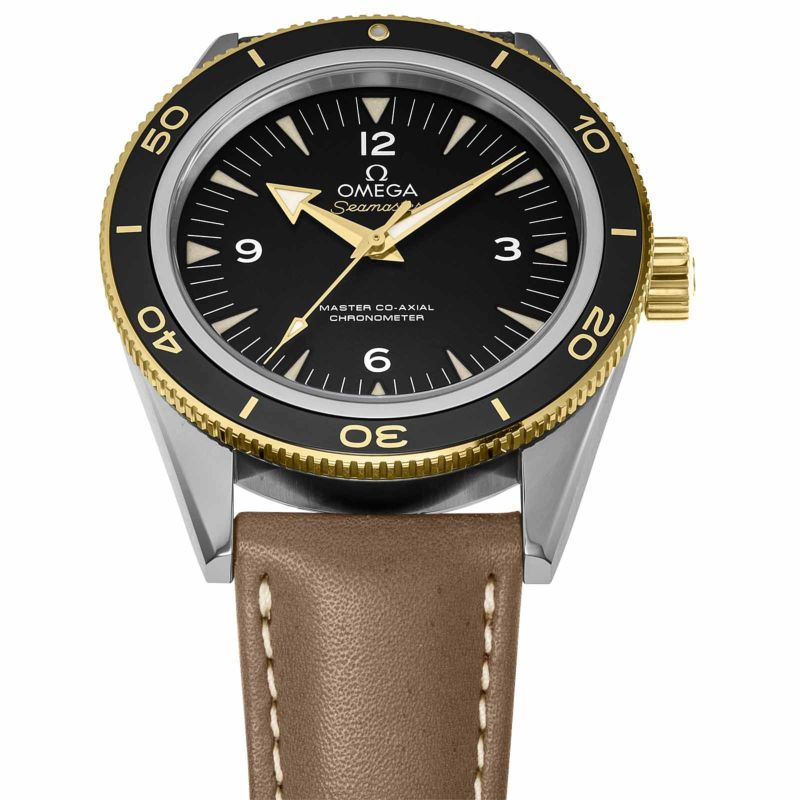 OMEGA 233.22.41.21.01.001