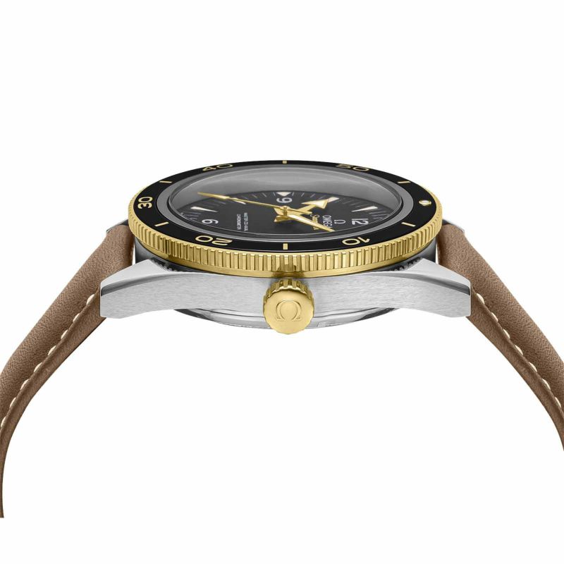 OMEGA 233.22.41.21.01.001