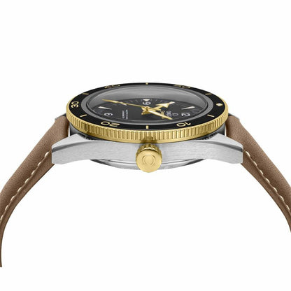 OMEGA 233.22.41.21.01.001