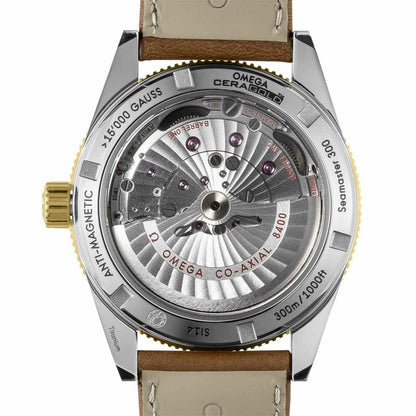 OMEGA 233.22.41.21.01.001